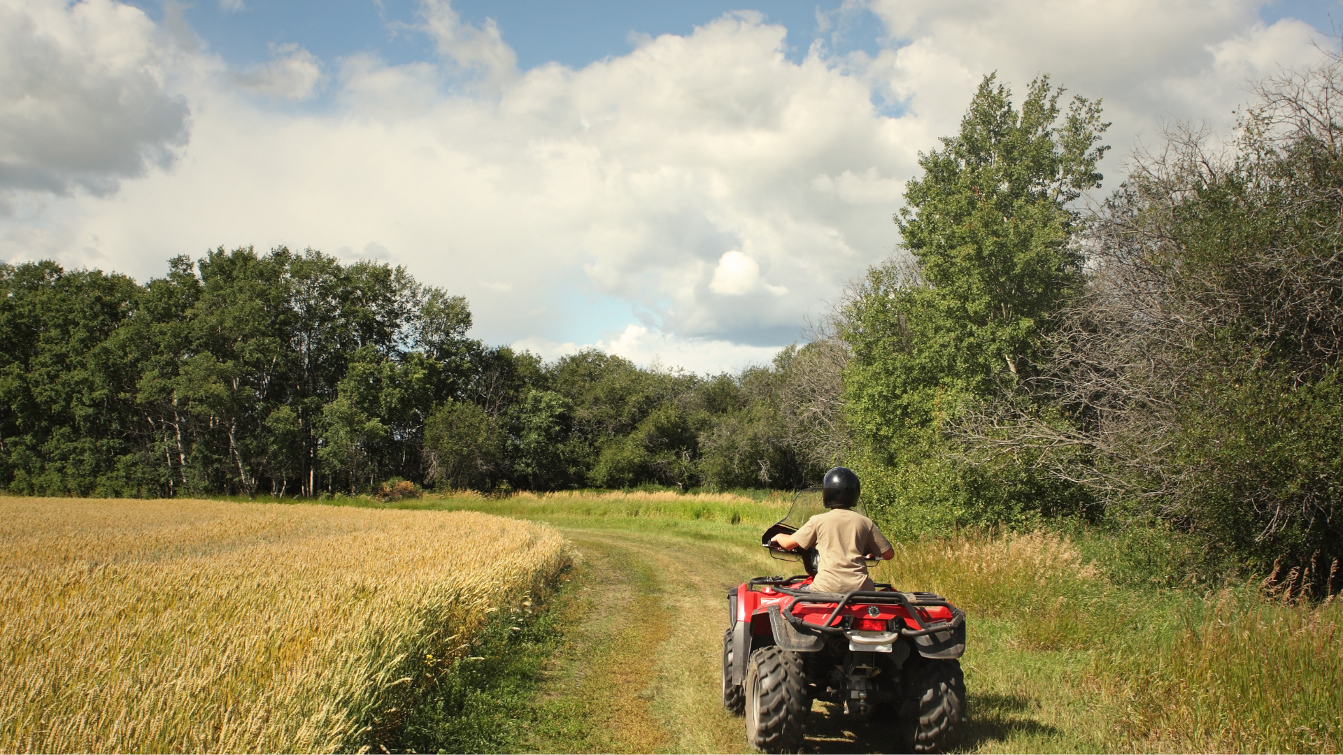 In Illinois, all-terrain vehicles and utility task vehicles are allowed on roads for farm use only, provided precautions such as proper signage and safety equipment are in place.