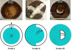Images showing timber pile deterioration on field piles, along with illustrations of the damage.