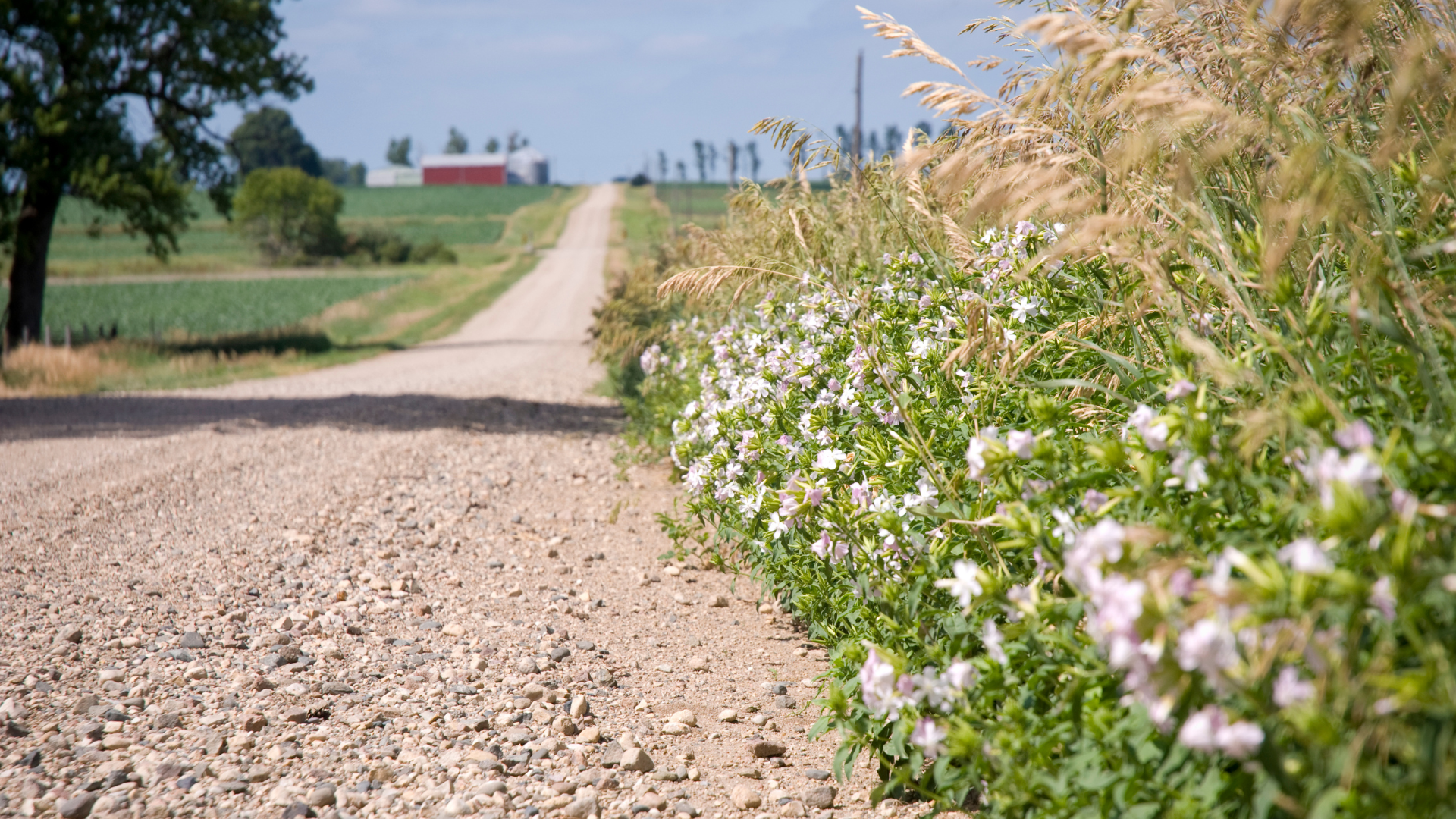 Illinois Department of Transportation classifies roadways that are not designated by interstate, US or Illinois signage as unmarked routes. There are currently 1,889 unmarked routes in Illinois, or 2,590.73 miles, according to&amp;amp;amp;amp;amp;amp;amp;amp;nbsp;IDOT.