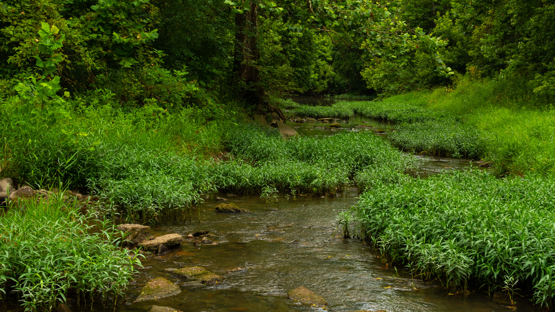 The State of Illinois has 87,110 miles of rivers and streams and has 880 miles of rivers on its borders, according to the Illinois Department of Natural Resources.